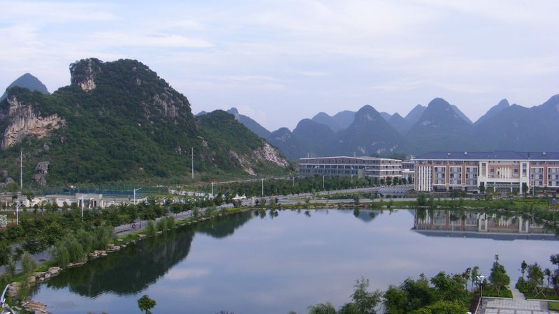 电子模块与芯片模块：本质区别与选型要点**
