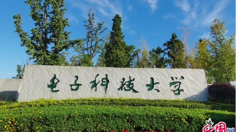 解码上海电子元件与器件报价：揭秘价格背后的真相